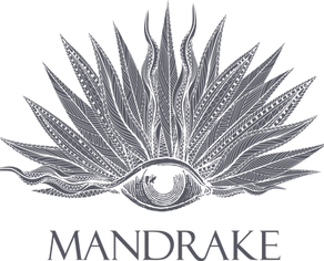 The Mandrake Hotel